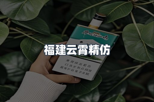 福建云霄精仿